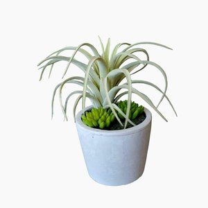 Faux Succulent Arrangement in Concrete Planter, Succulents and Air Plant